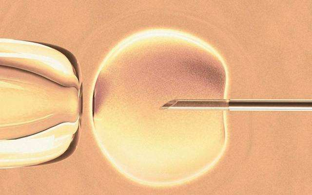 2023同性交通大学医学院附属瑞金医院试管婴儿收费明细