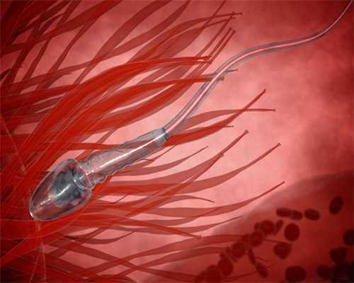 les家庭生育,拉萨同性试管2代多少钱_三代试管助孕机构