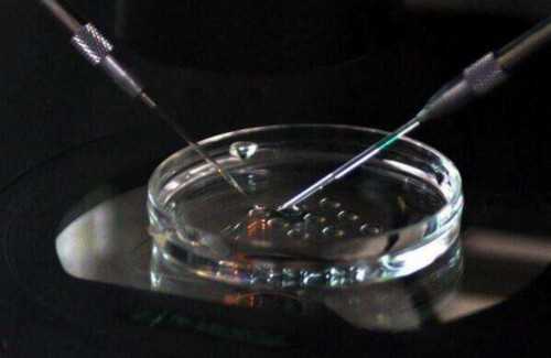 延安供卵机构,正规供卵机构