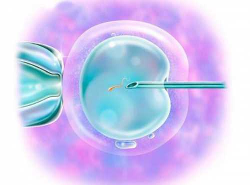 供卵试管地址在哪,石家庄试管助孕孩子费用是多少-正规助孕中心