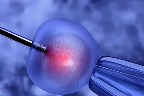 供卵试管助孕怎么联系,哈尔滨试管助孕生子助孕机构-正规试管助孕机构