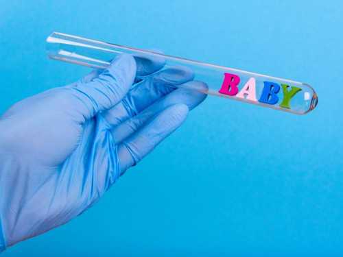 男人备孕时养猫咪需注意的健康问题及其影响