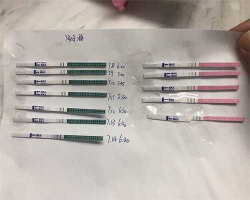 a卵b生违法吗,拥有属于自己的孩子，同性恋者怎么做试管？