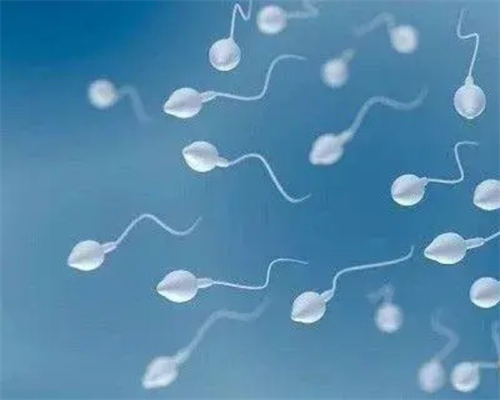 医院借卵,乐山三代供卵代怀助孕供卵生孩子公司名单