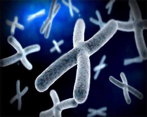 上环的最佳时间，上环前的注意事项