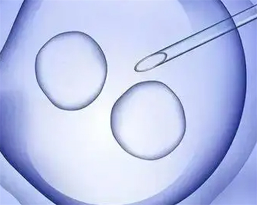 卵母细胞成熟障碍患者可以尝试试管婴儿技术吗？哪种试管婴儿方案更适合他们