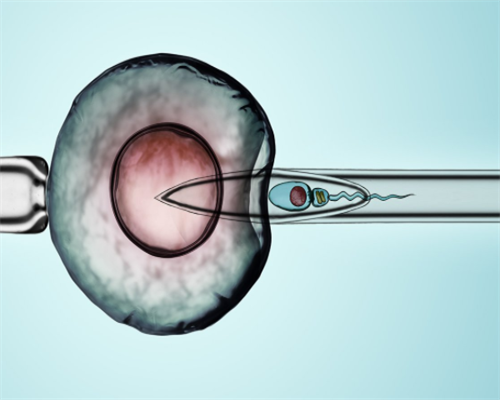 泰国试管婴儿胚胎培养和移殖技术性-助孕中介