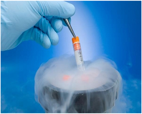 一文探知同性做三代试管包生男孩的地下机构是否可靠，附正规医院名单