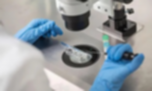 上海民间供卵试管机构信息大全，2026供卵成功率最高医院介绍
						