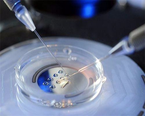 同性科兴疫苗生产公司?,同性试管助孕机构,找****产子公司,试管婴儿包成功包生