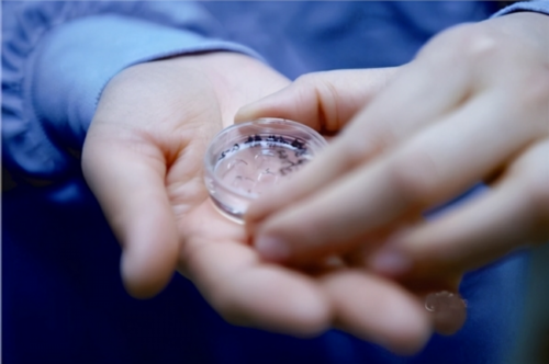 淮北助孕试管婴儿技术能相信吗-代生微信