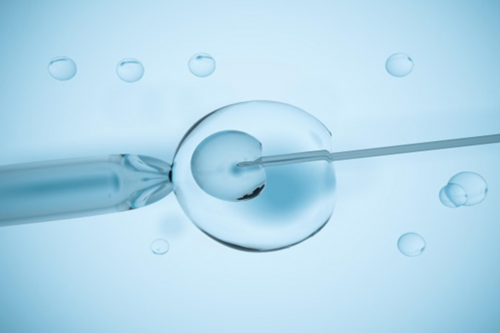 les生孩子有哪些方法,拉萨同性试管2代多少钱_三代试管助孕机构