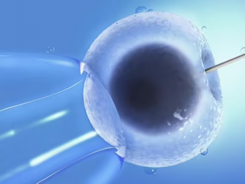 供卵试管符合什么条件,哈尔滨哪家医院可以助孕？哈尔滨助孕医院？