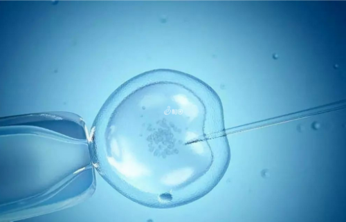 哪里供卵试管婴儿好,石家庄最大助孕公司_正规助孕网