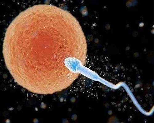 女同怎么生自己的孩子,女同性恋做试管婴儿生孩子【备孕知识大全】