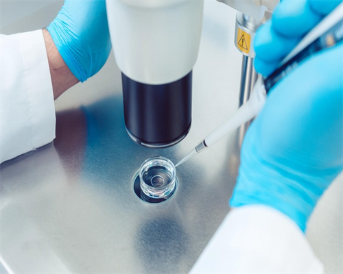 供卵试管的关键,辽宁三大助孕机构沈阳助孕医院