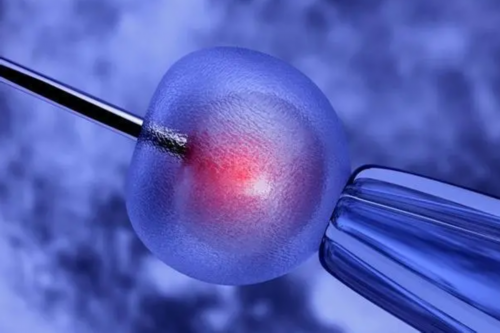 
              黑龙江省内哪家生殖医院有正规的卵子库可以供卵？
            