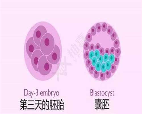 生殖助孕机构,信阳三代供卵代怀助孕捐卵生孩子机构大全