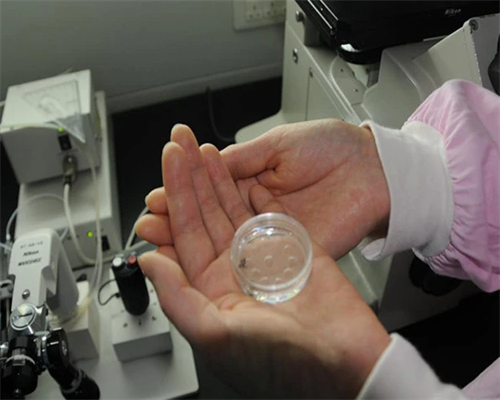 坐月子期间不要哭这个说法是有道理的