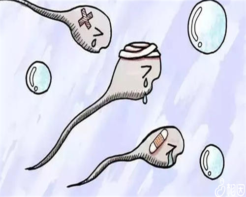 泰国试管婴儿大龄-试管代怀机构