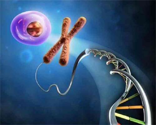 两个女的试管婴儿吗,武汉私立供卵试管助孕机构同性恋可以做吗？