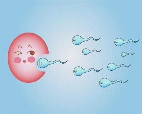 拉拉a卵b怀费用大概多少,武汉私立供卵试管助孕机构同性恋可以做吗？