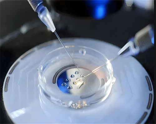 男有小三阳生女儿,银川同性恋想要孩子怎做-试管助孕机构