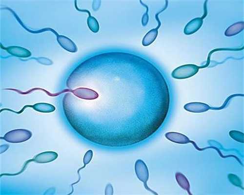 试管婴儿流程攻略详细讲解-做供精试管