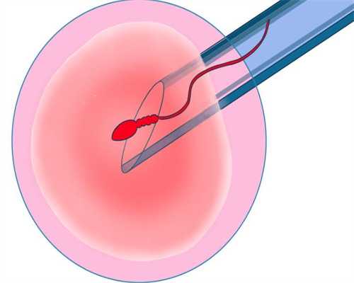同性有泰国试管婴儿公司吗？,同性能做司法亲子鉴定的医院在哪里？（正规机