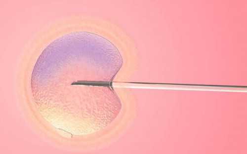 同性圣玛妇产医院有限公司怎么样？,地下辅助生殖调查续：同性市卫健委表示