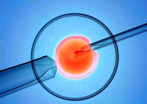 拉拉怎么怀孕,同性情侣可以通过试管助孕借精生子吗