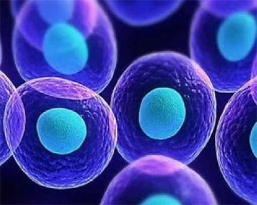 同性做试管婴儿需多少钱,试管婴儿助孕中心：同性可以试管婴儿么？