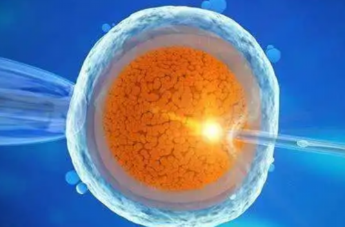 东莞试管婴儿机构排名前十-试管代怀孕