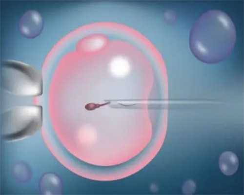 a卵b怀费用,同性可以做试管婴儿吗?2026年同性婚姻合法是真的吗?