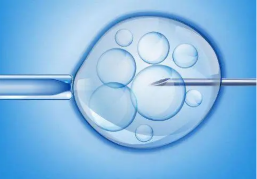 49岁做供卵试管自怀移植前用药方案有哪些？