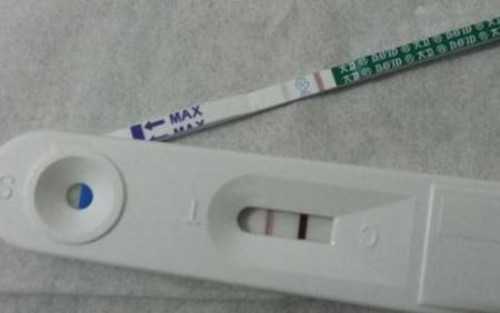 备孕阶段是否适合食用栗子？了解备孕吃栗子的好处和注意事项