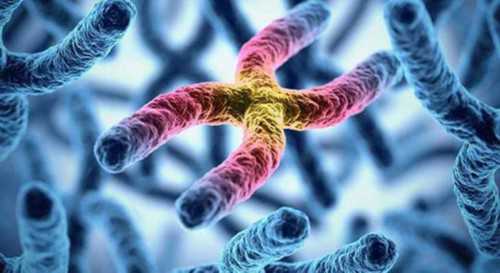 拉拉怎么要共同的孩子,同性恋人能在泰国做试管婴儿生育宝宝吗？