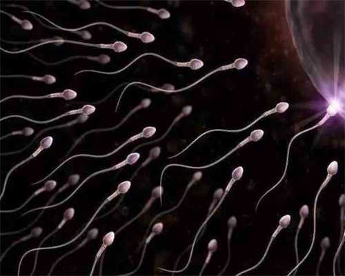 两个男人可以生出孩子吗,同性情侣可以通过三代试管助孕怀龙凤胎吗