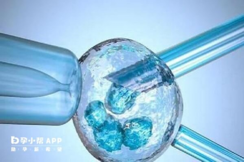 同性试管婴儿多少钱,男同性恋去美国做供卵试管婴儿要多少费用