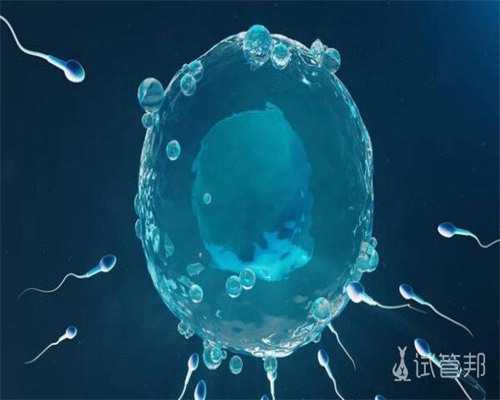 泰国试管婴儿包成功的说话可信吗？