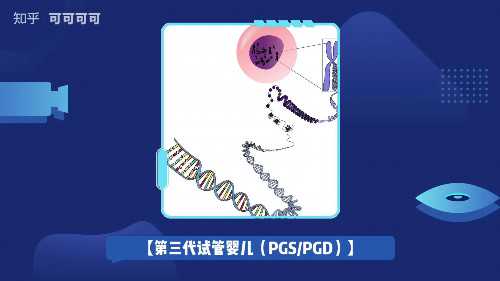 男男怎么生娃,同性试管双胞胎,二代试管双胞胎男女比例
