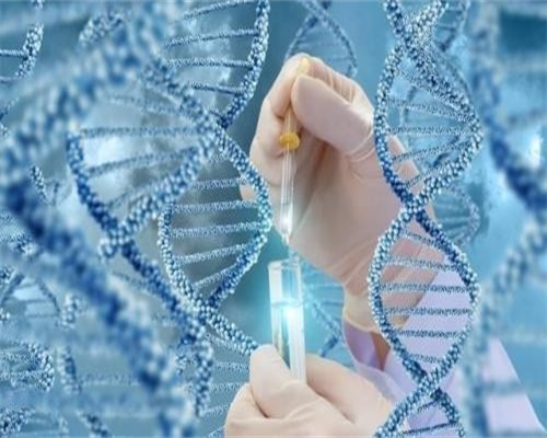 供卵试管代孕,石家庄专业助孕价格_正规助孕公司