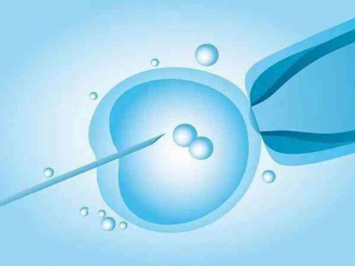 同性试管婴儿费用,同性情侣可以通过三代试管供卵怀孩子吗