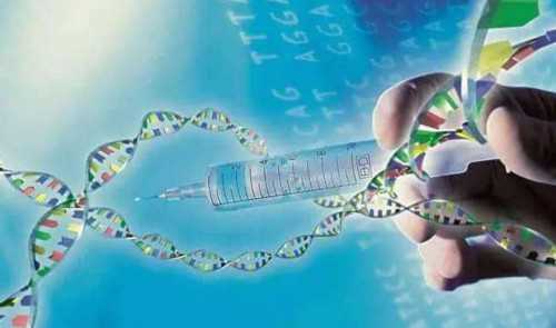 两个女人生孩子成功,同性家庭赴美国做试管婴儿的具体流程