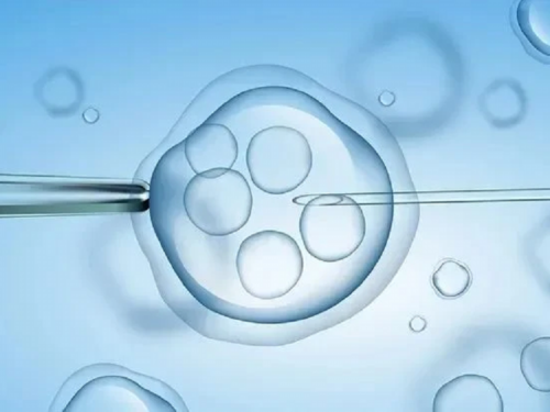 拉拉a卵b怀可行吗,供精供卵同性试管助孕机构哪里找