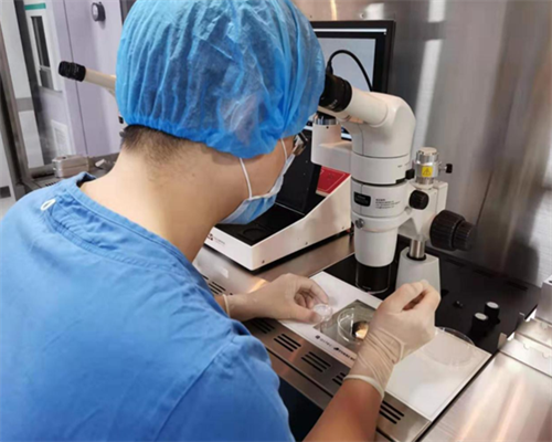 什么是a卵b生,北京供卵助孕生殖中心同性恋可以做吗？