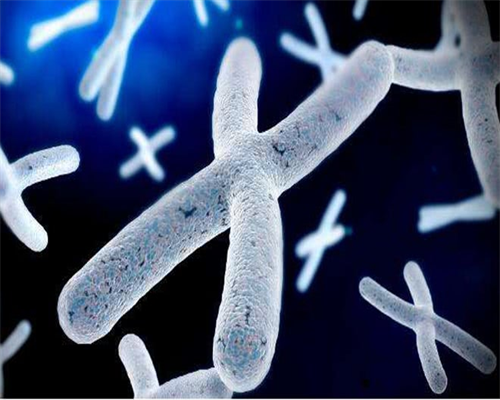 回顾篇：世界第一例试管婴儿的诞生-正规代孕电话