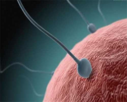 a卵b怀上户口,2026
同性情侣可以通过三代试管助孕生孩子吗