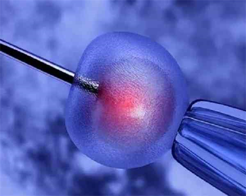 拉拉骨髓生子多少钱,贵州同性？贵州热门试管婴儿助孕医院推荐？