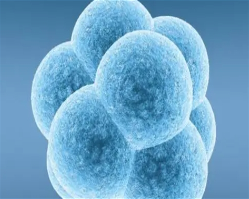 a卵b怀机构,钦州女同性恋可以做试管婴儿吗，同性做3代试管的方案和流程